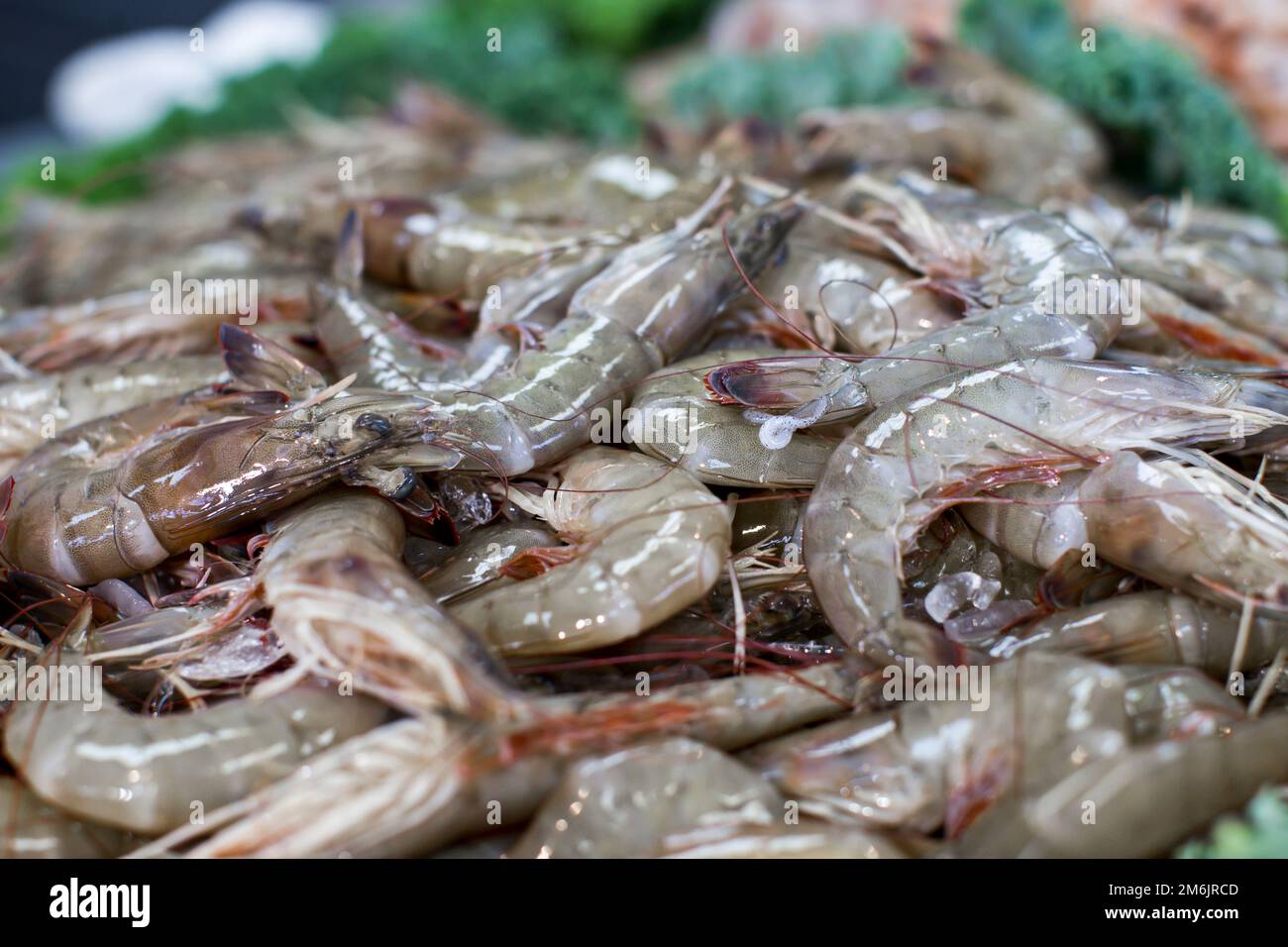 Gulf shrimp hi-res stock photography and images - Alamy