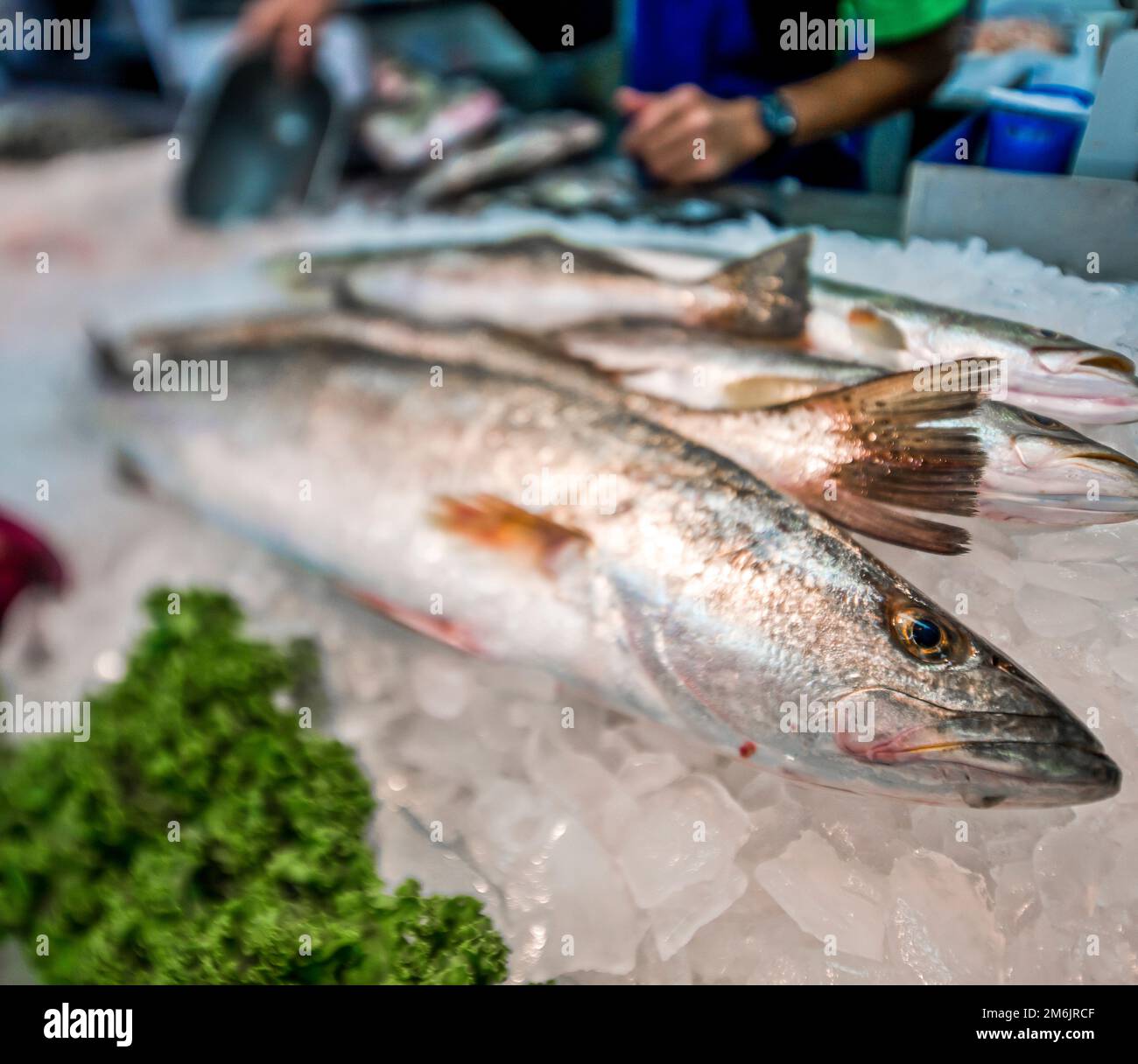 Gulf Seafood Market Pensacola, FL Stock Photo Alamy