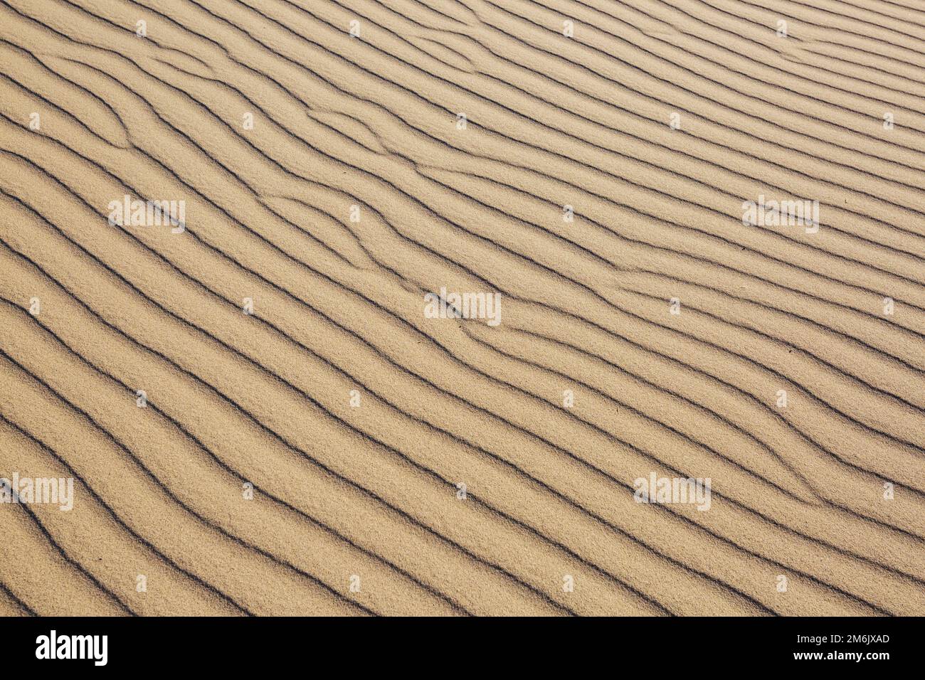 Sand circle hi-res stock photography and images - Alamy