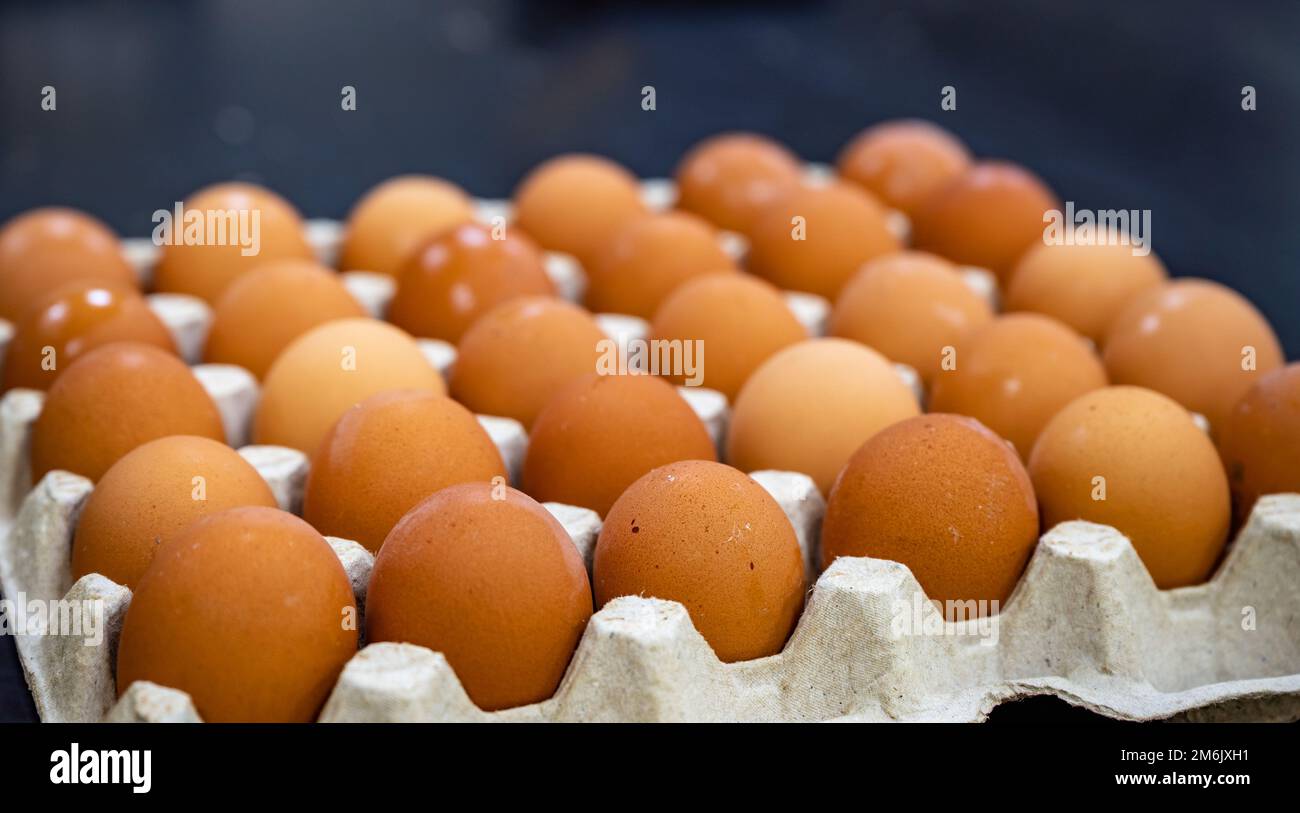 Chicken egg in a cell Stock Photo Alamy