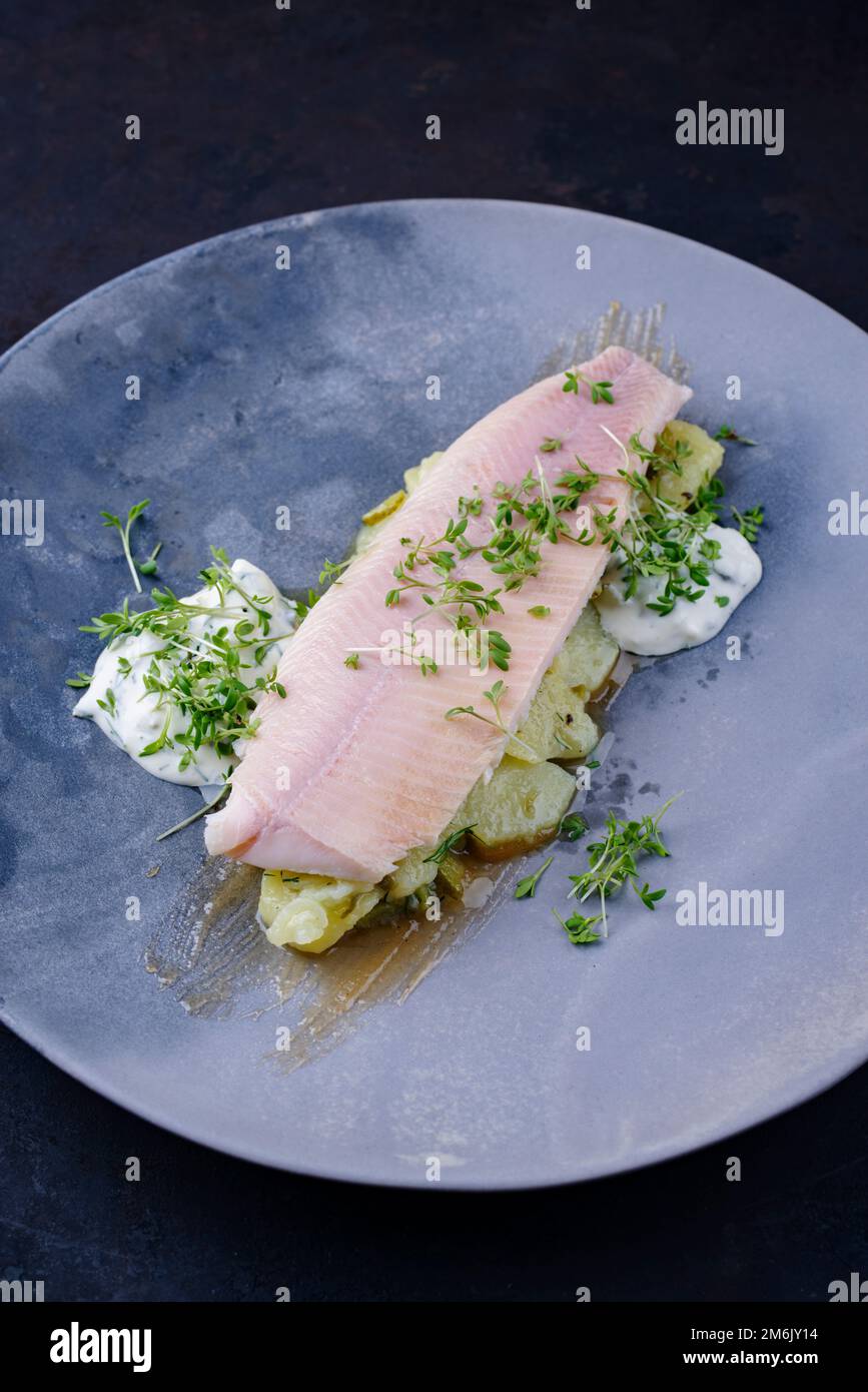 Modern style traditional smoked rainbow trout with boiled potato salad