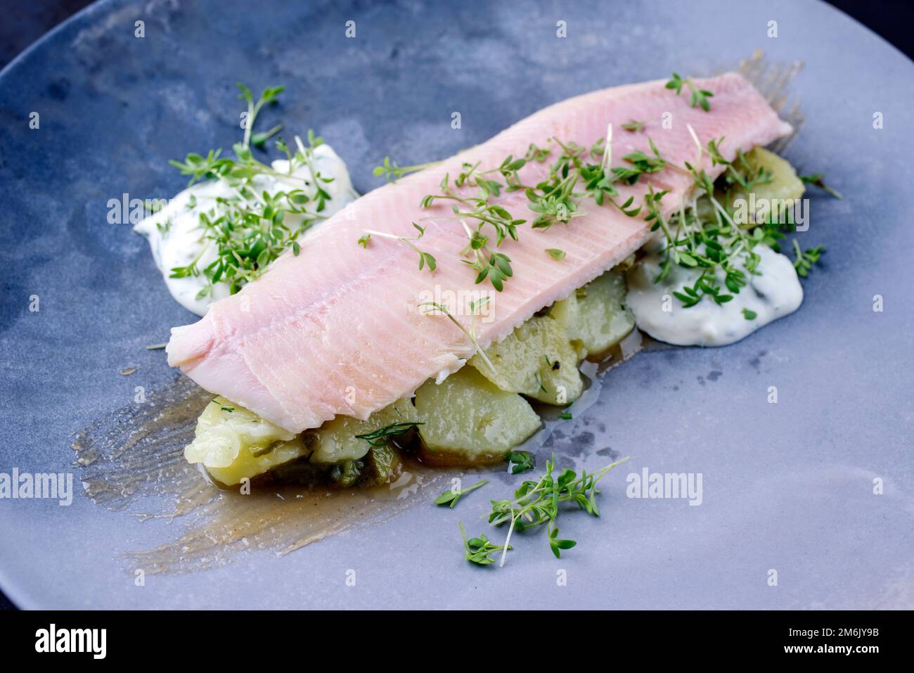 Modern style traditional smoked rainbow trout with boiled potato salad
