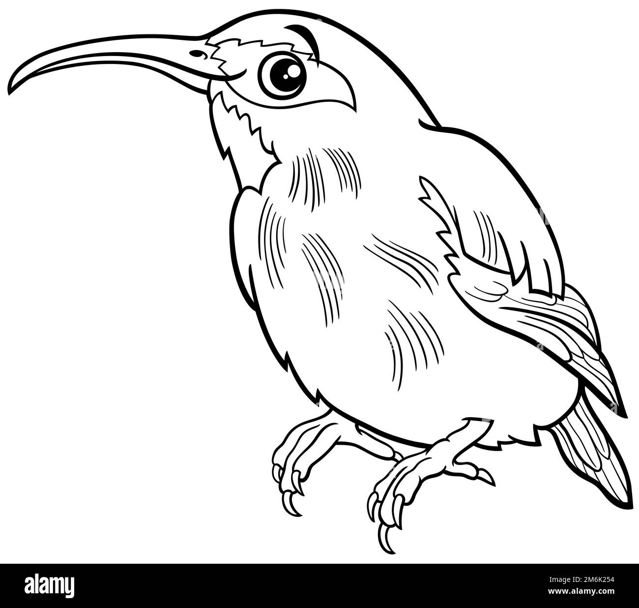 Cartoon honeycreeper bird animal character coloring page Stock Photo