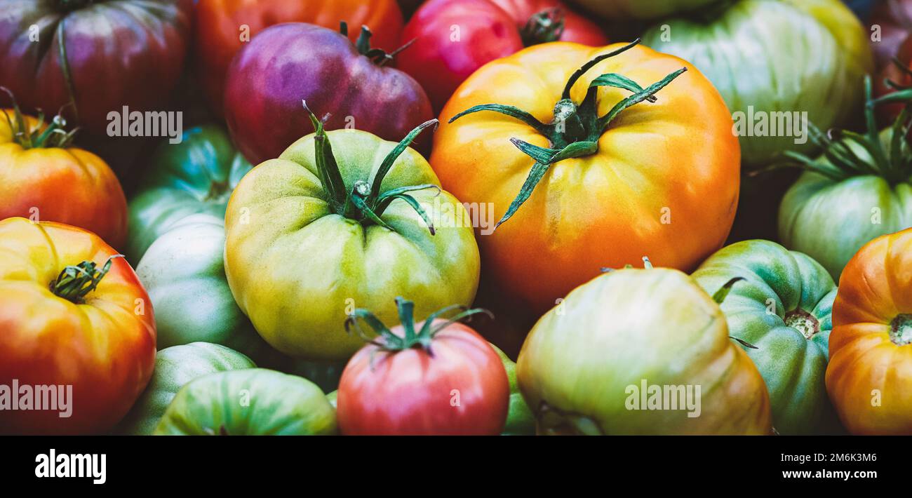 Organic tomatoes, homegrown vegetables, summer food background, homesteading and healthy eating Stock Photo