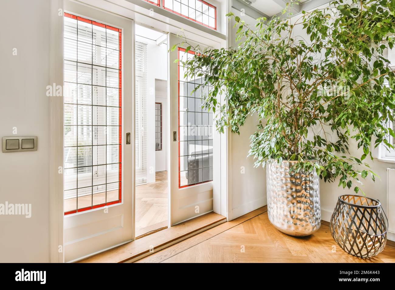 a plant in a vase next to a white door with red trim on the glass and side paneled windows Stock Photo