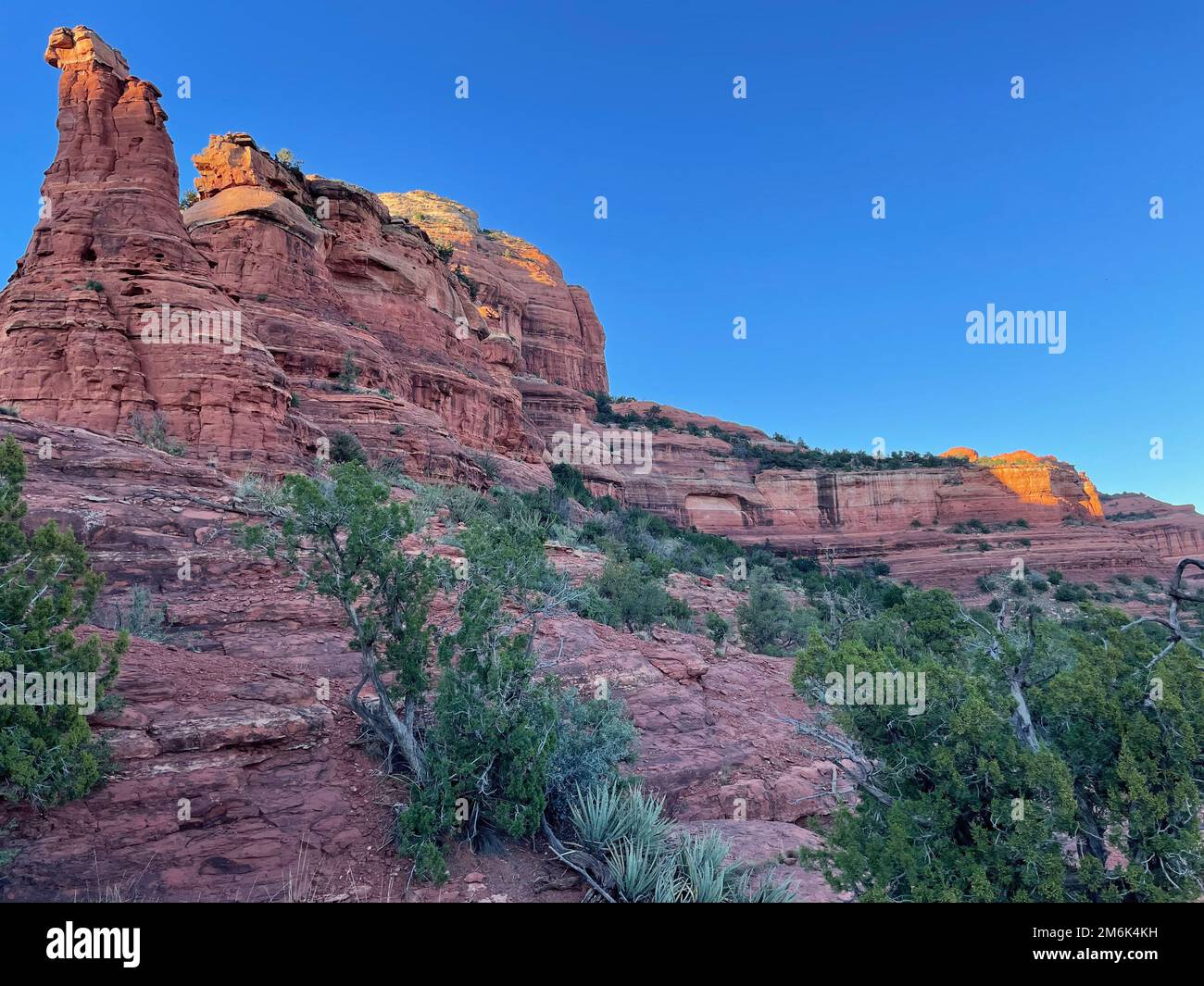 Desert scenery hiking sedona arizona scottsdale joshua tree white dog
