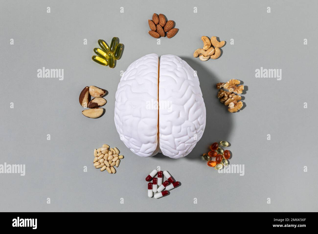 brain health and dementia series brain miniature and nutritional