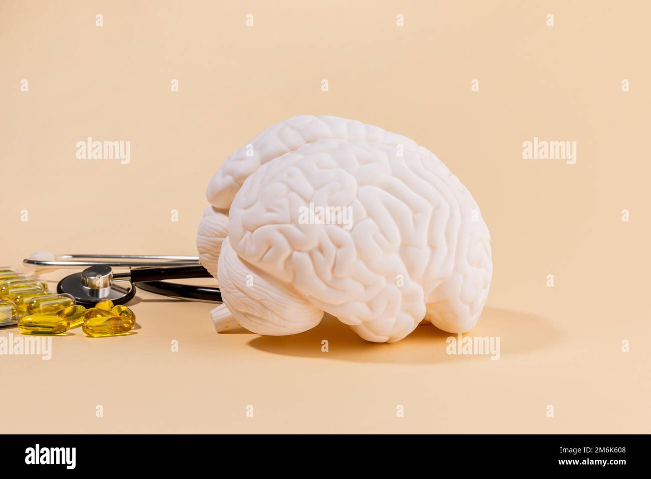 brain health and dementia series brain miniature and omega 3