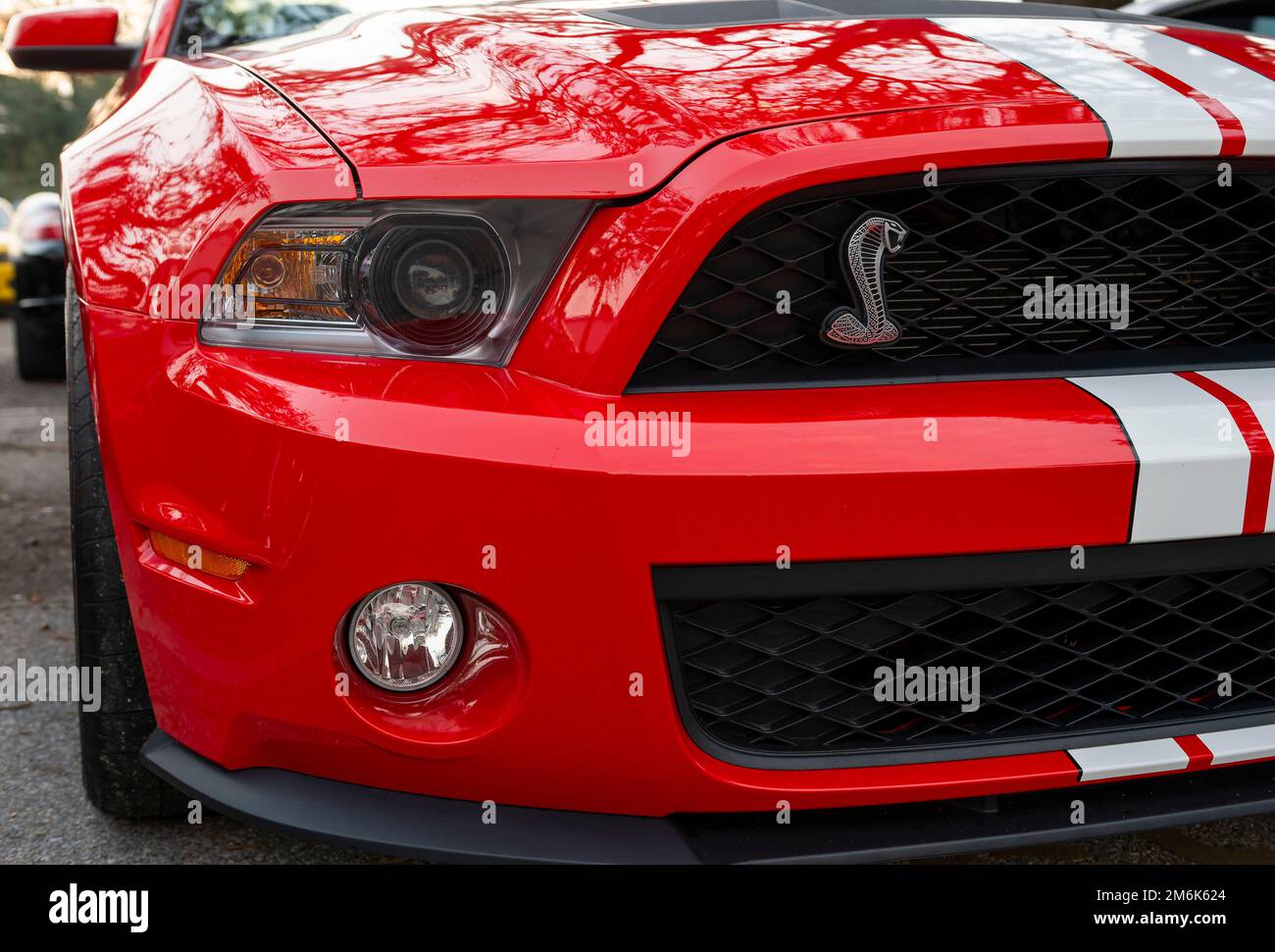 Front hood and grill of a red Ford Carol Shelby GT500 muscle car with the Cobra emblem on the grill. Stock Photo