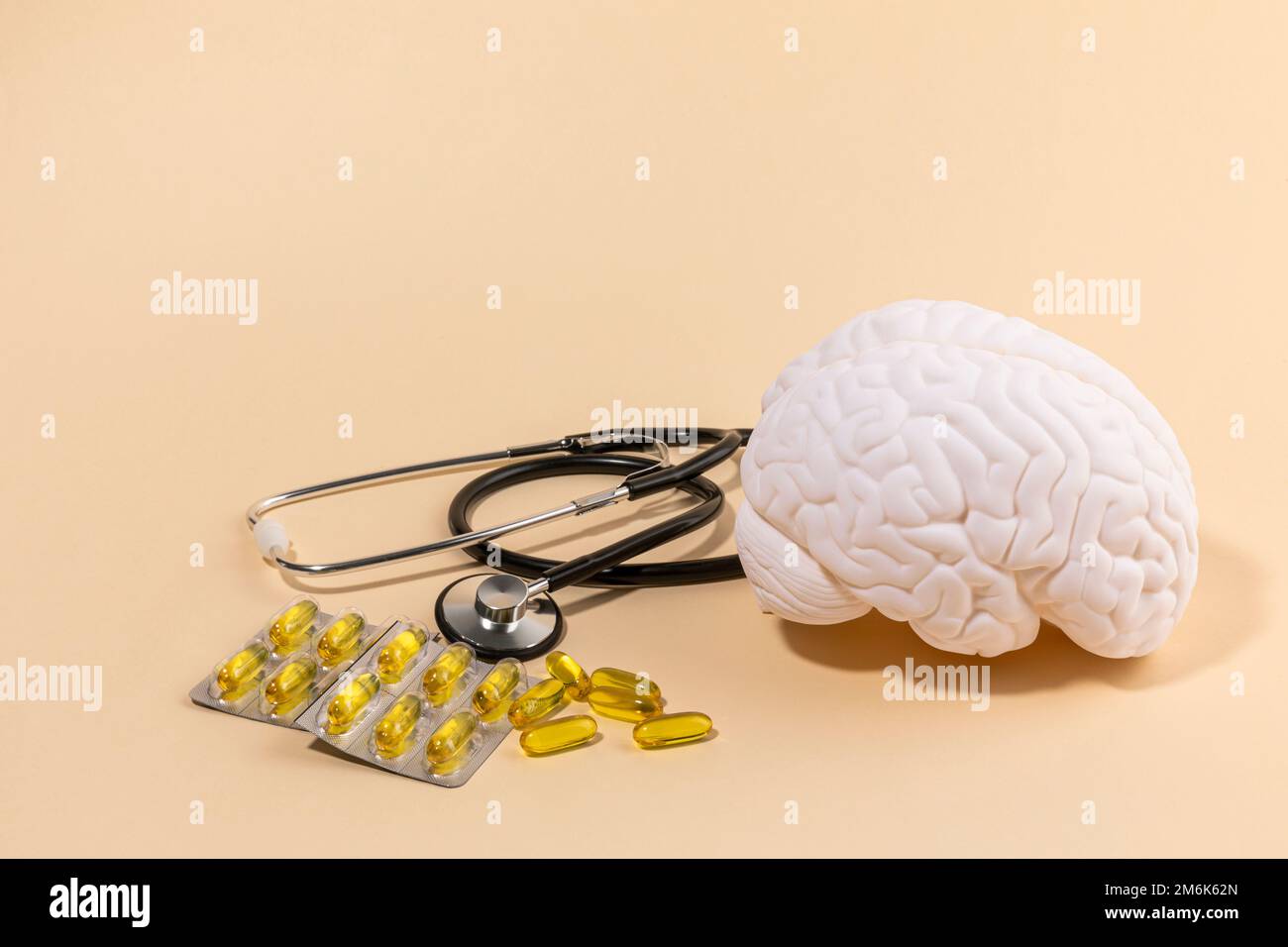 brain health and dementia series brain miniature and omega 3