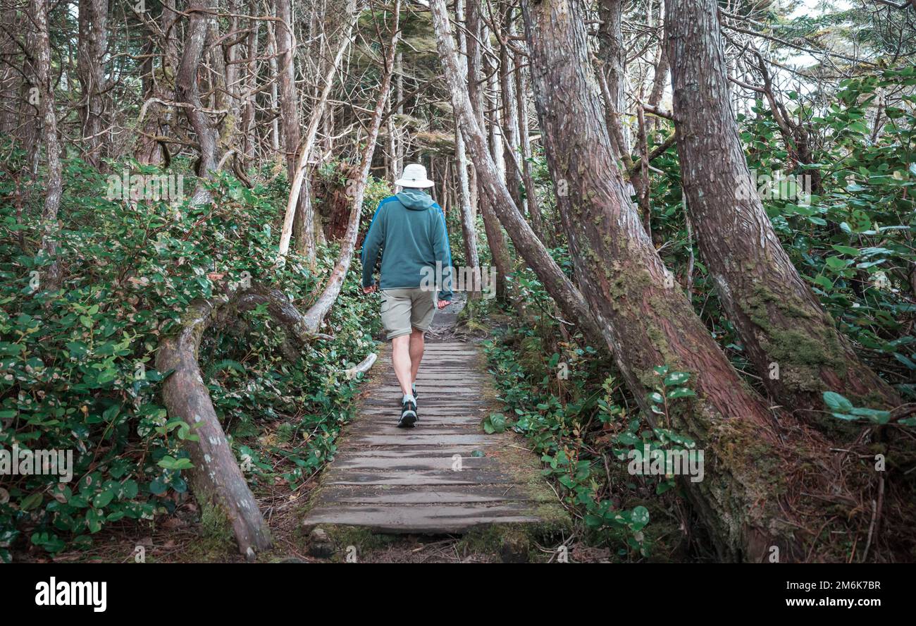 Hike in the forest Stock Photo - Alamy