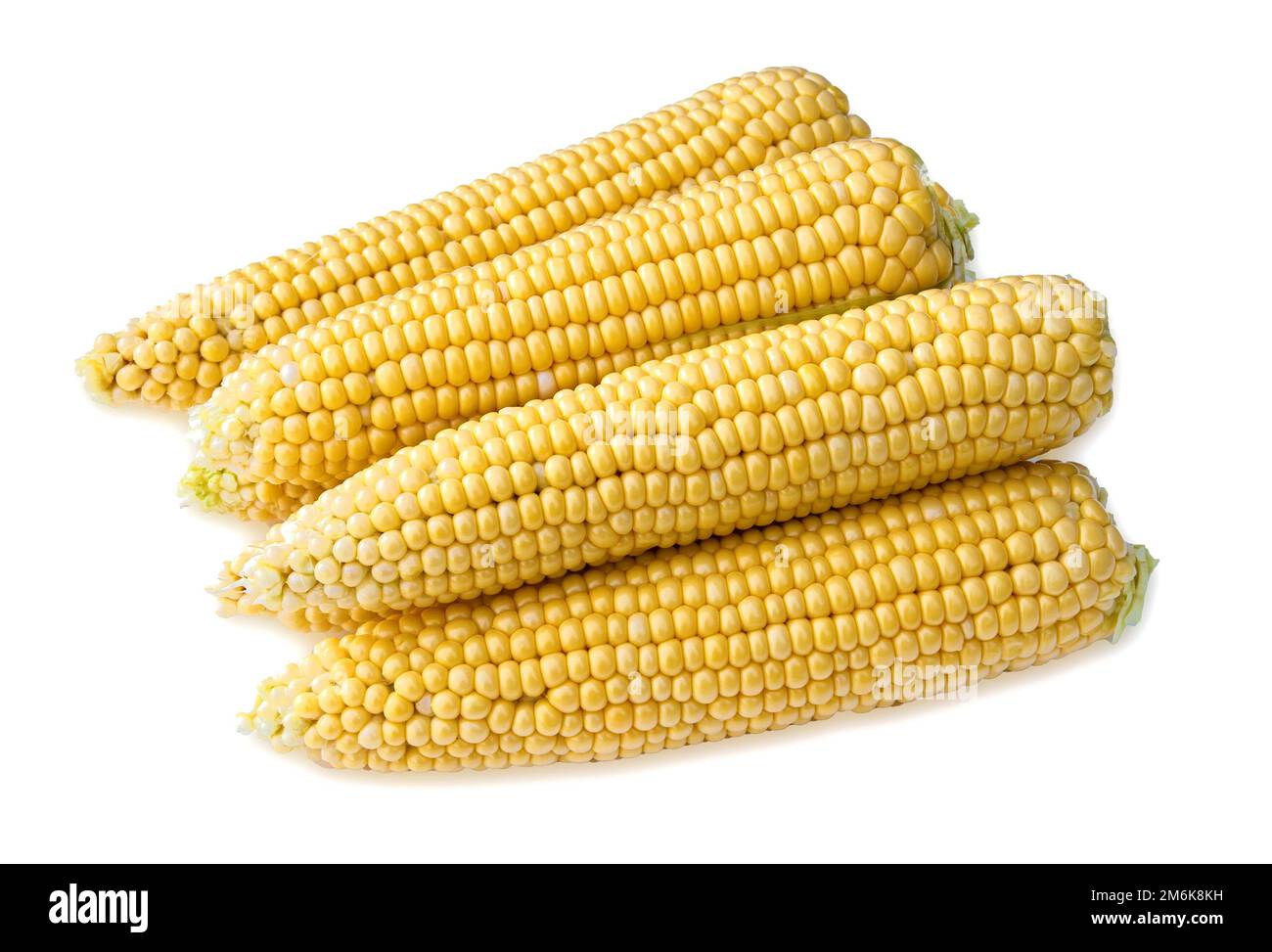 Four ears of corn Stock Photo Alamy