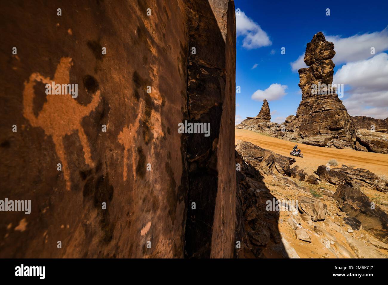 103 PEARSON David (USA), American Rally Originals, KTM, Moto, FIM W2RC ...