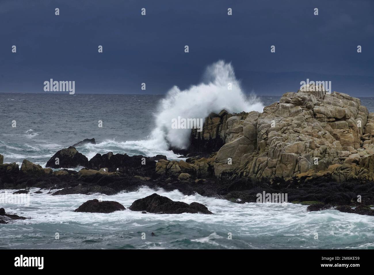 Tsunami warning pacific grove ca