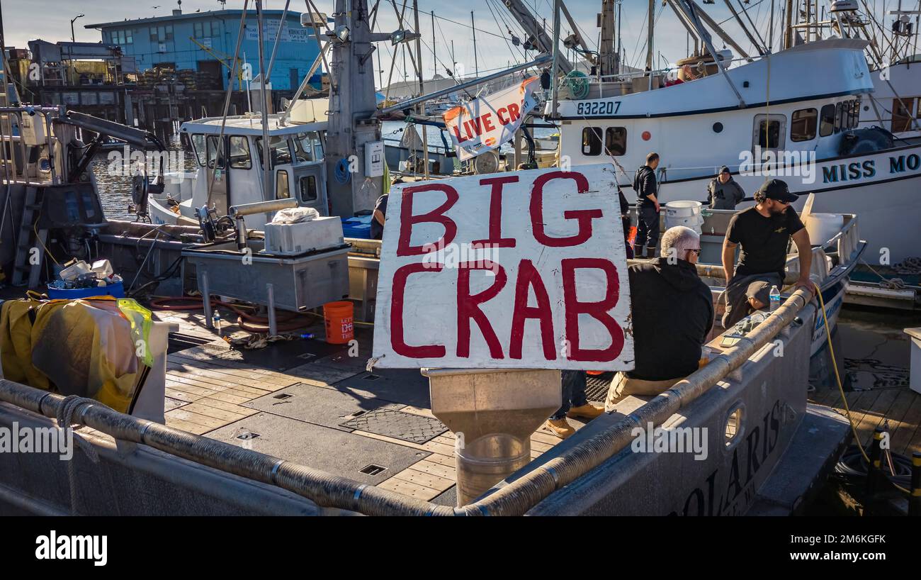 Half Moon Bay, California, USA January 01, 2023 Fresh Dungeness crab