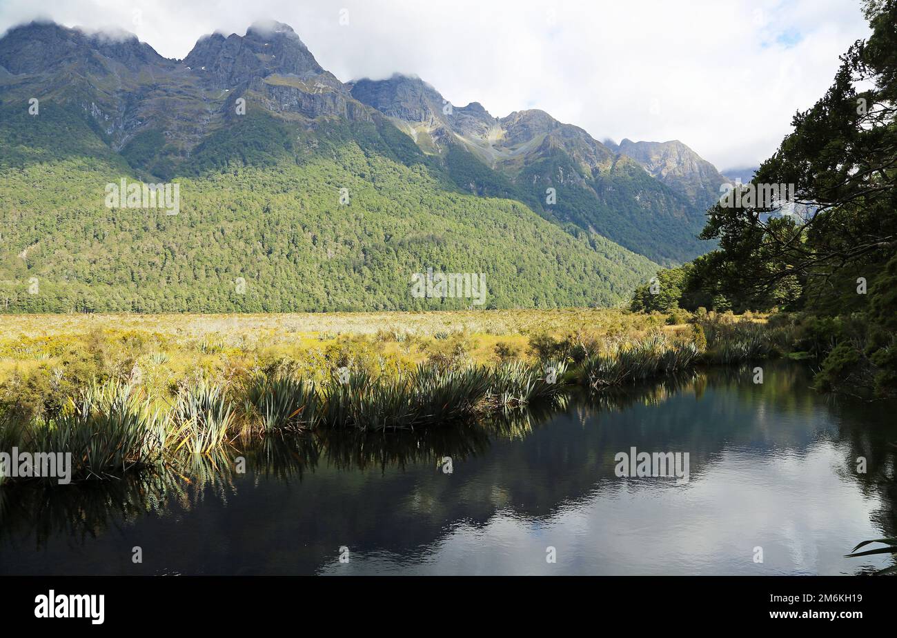 Mt Ellington on Mirror lake - New Zealand Stock Photo