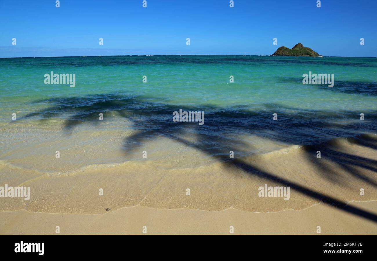Palm tree shadow on Lanikai Beach, Hawaii Stock Photo Alamy