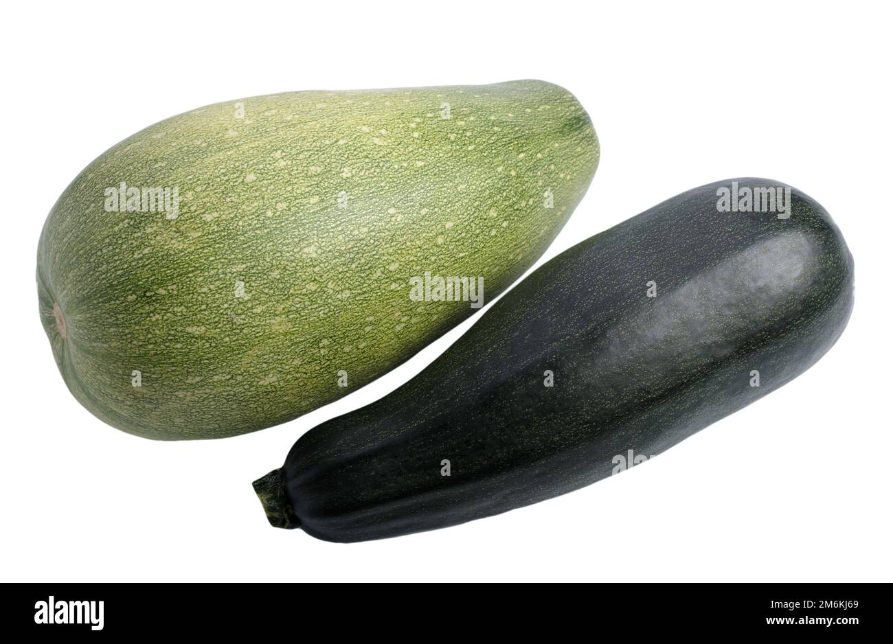 Two zucchini, isolated Stock Photo