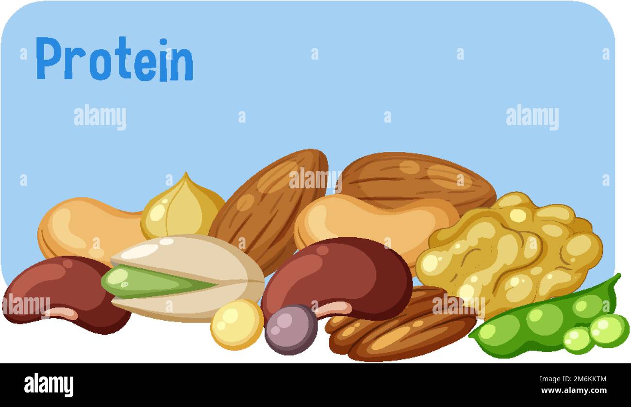 Variety of protein foods illustration Stock Vector Image & Art - Alamy