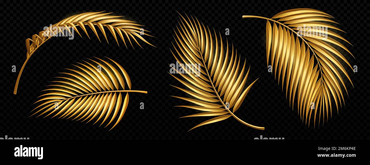 Set of golden palm tree leaves isolated on black transparent background ...