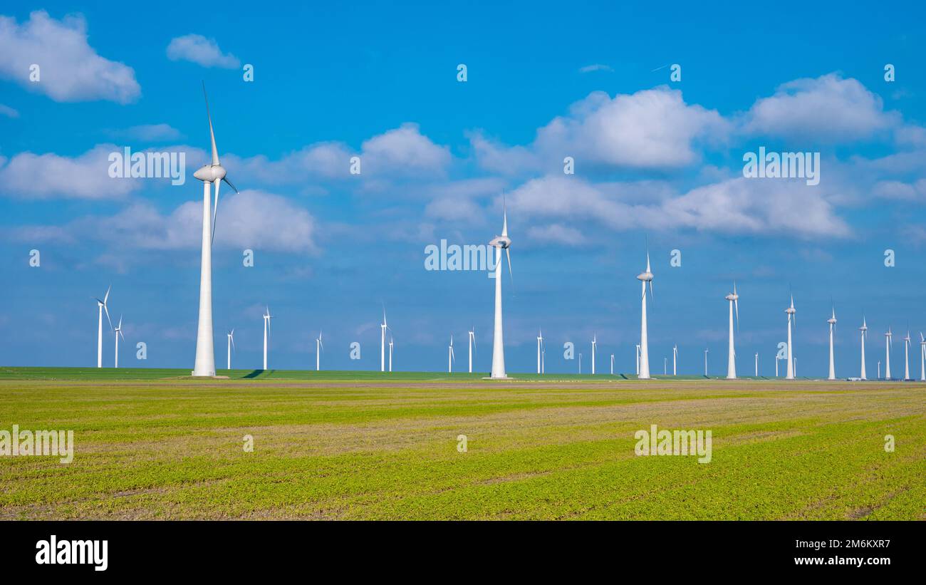 Windmill park in the ocean, drone aerial view of windmill turbines