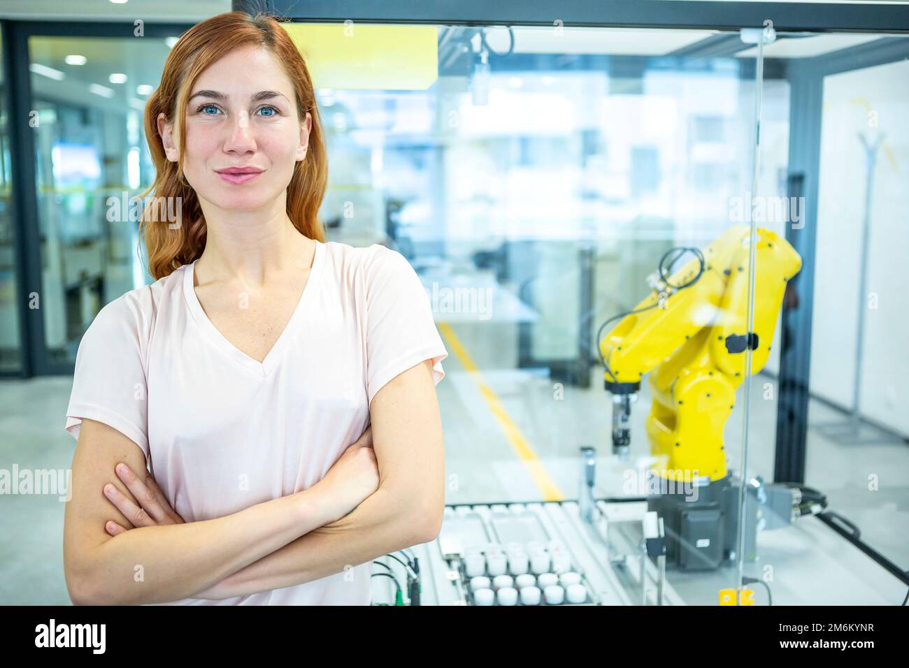 Industrial Robot Support Stock Photo