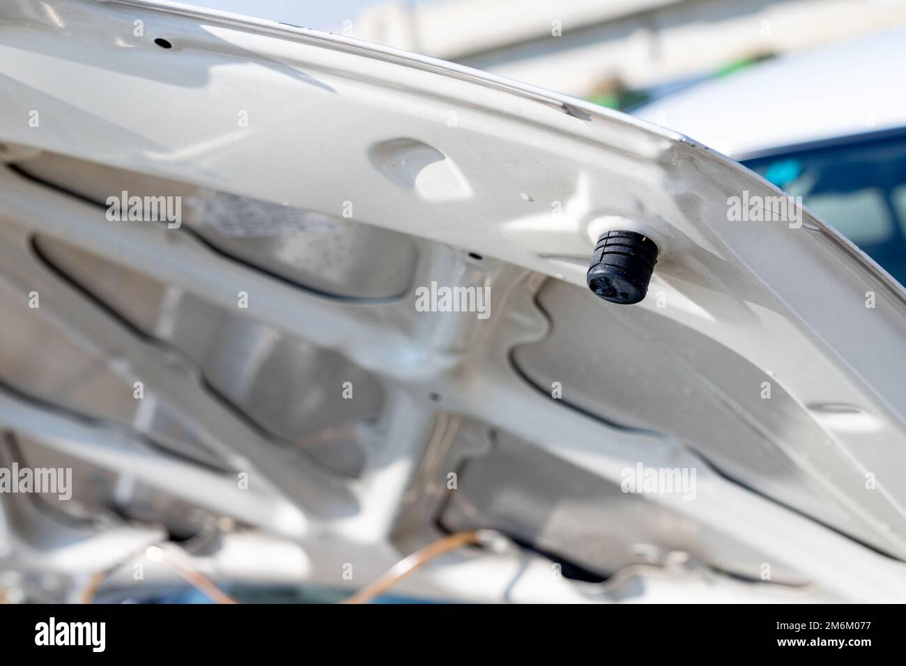 hood bump stops rubber bush or hood adjust rubber bumper stops Stock Photo Alamy