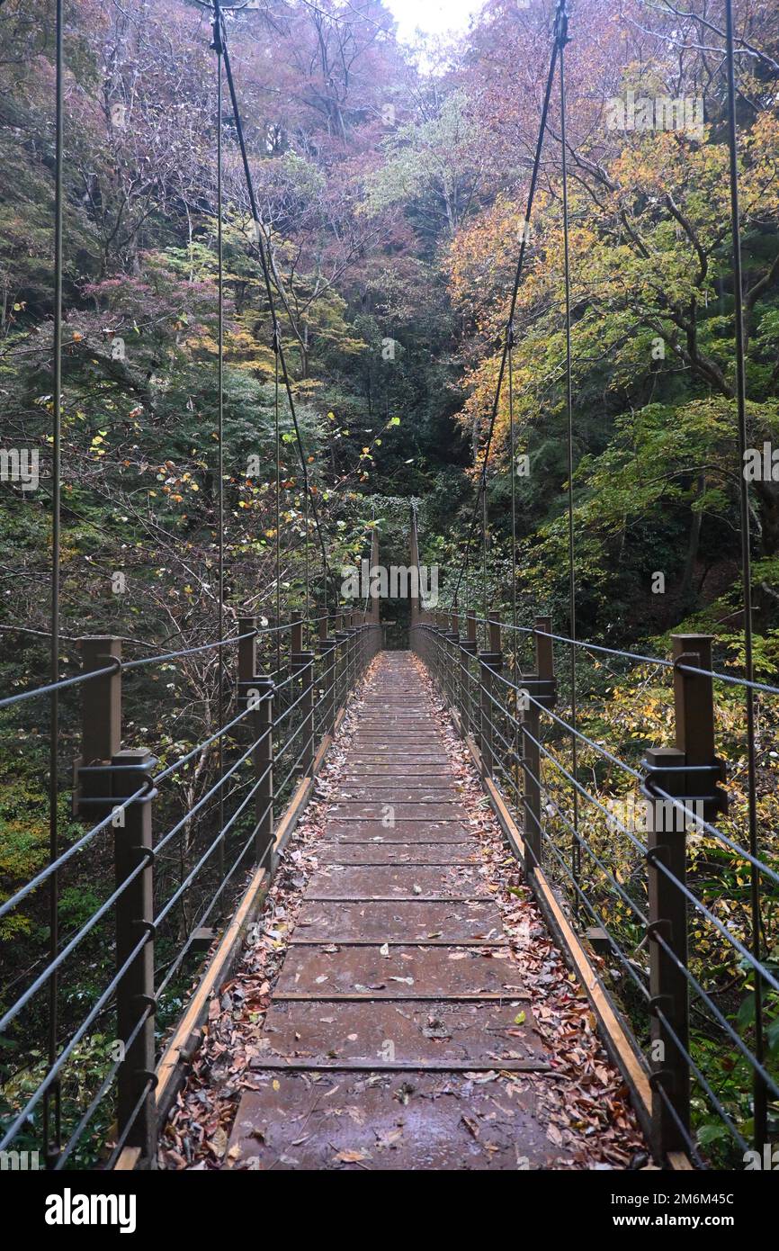 Bridge in Mount Takao Stock Photo Alamy