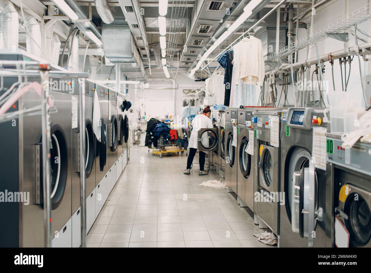 Laundry industry 2024