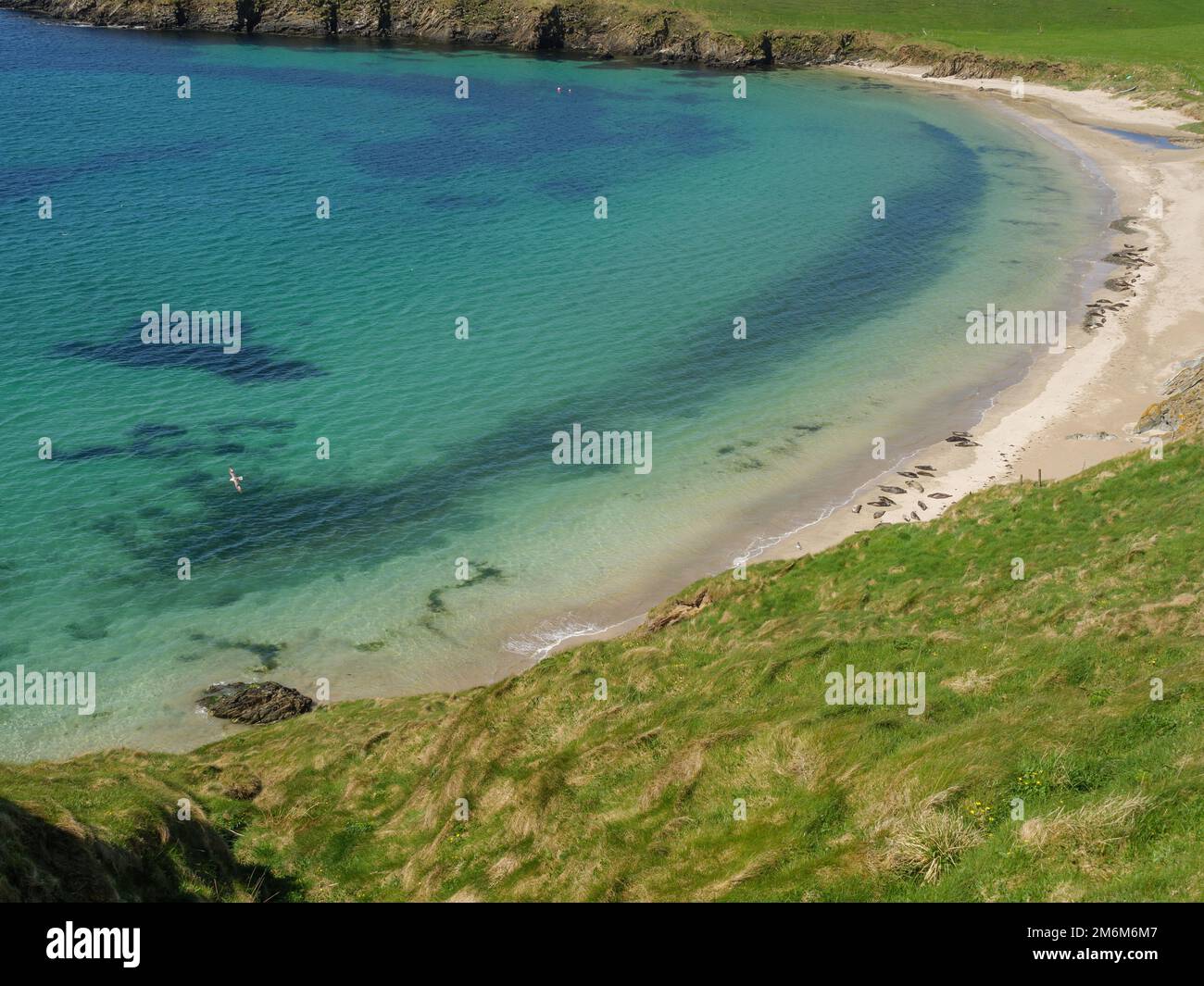 Beach on the shetland islands Stock Photo