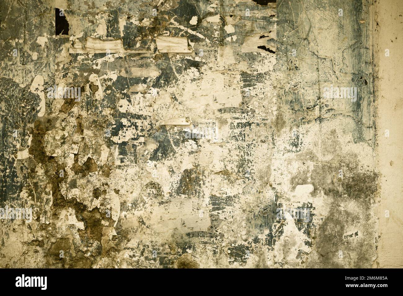 Grunge wall texture. High resolution vintage background. Stock Photo