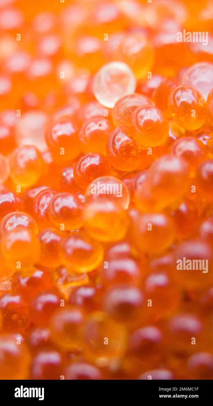 Trout roe hi-res stock photography and images - Alamy