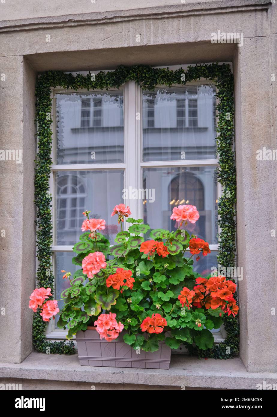 windows exterior siding house sidewalk multicolored flowers planter