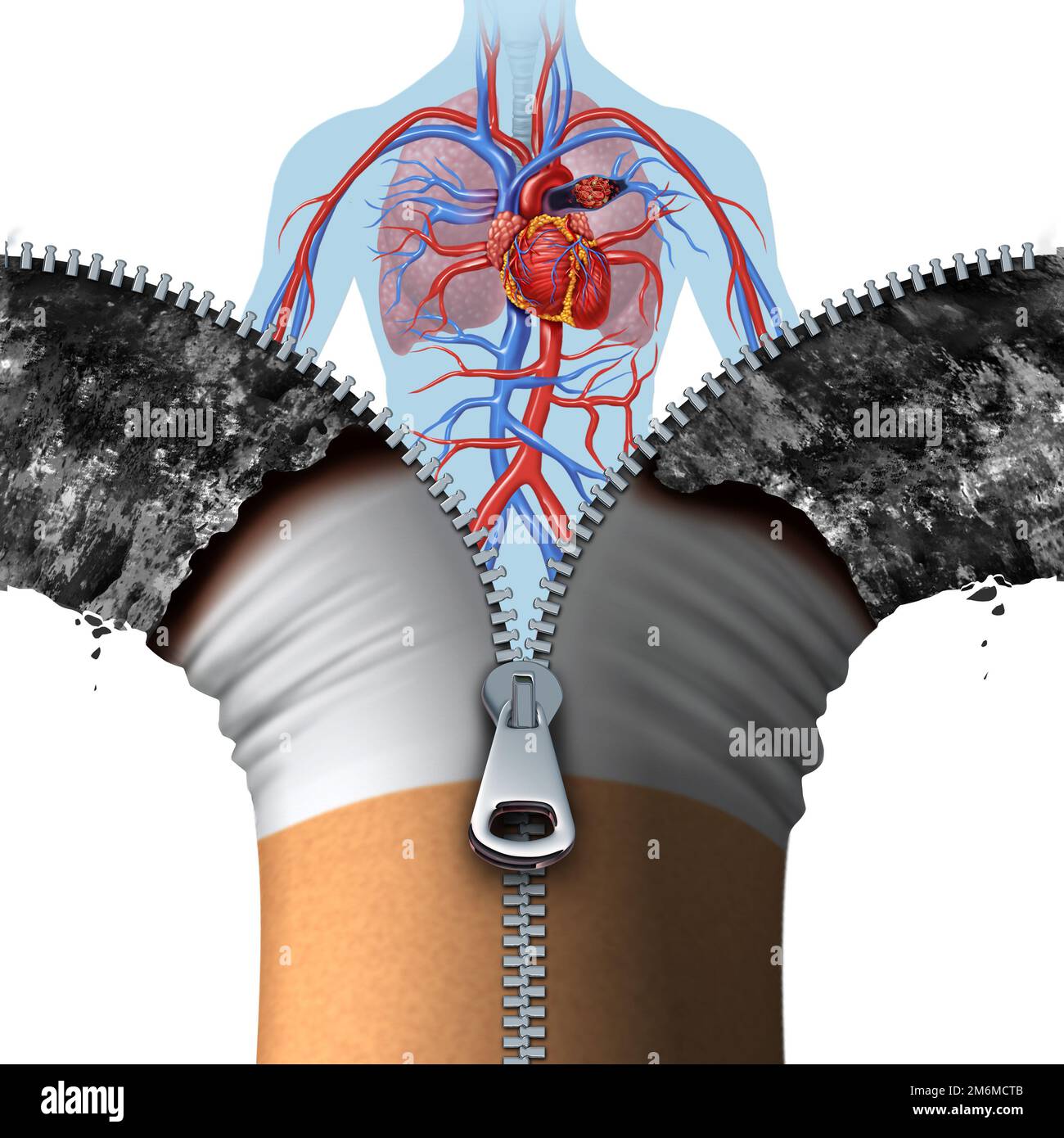 Cigarette and And Cardiovascular concept and anti smoking symbol as a tobacco product opened with a 3D illustration zipper and a healthy human heart Stock Photo