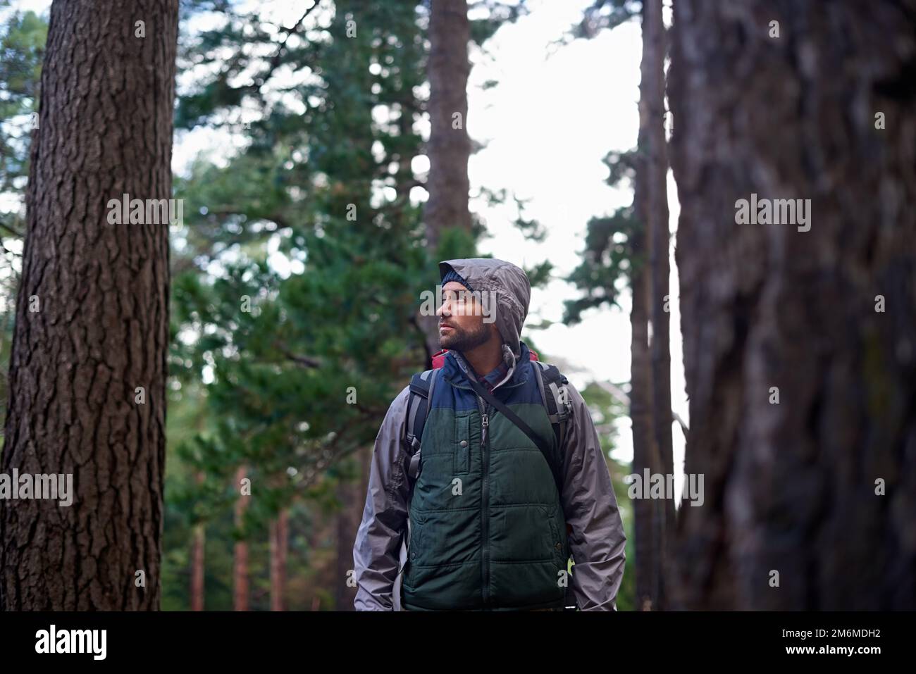 Tranquil forest hike. a young man wearing a backpack while hiking in ...