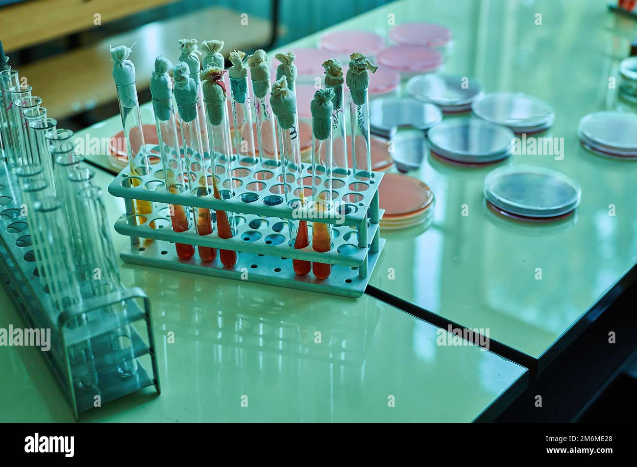 Various culture medium test tube microbiology bacteria university