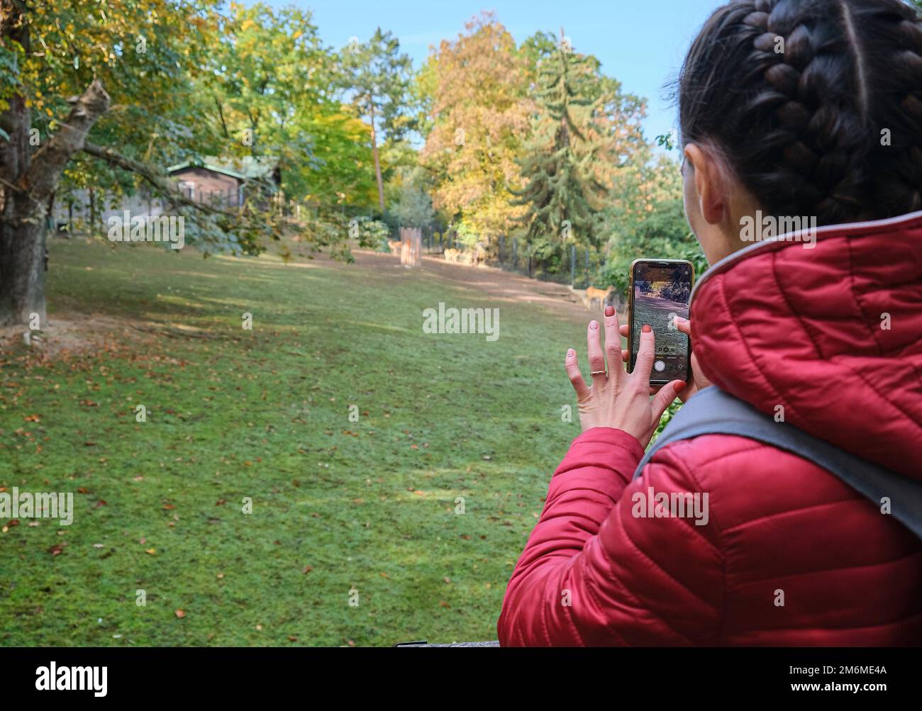 young woman girl taking photo smartphone tourist social media zoo Wild animal Stock Photo