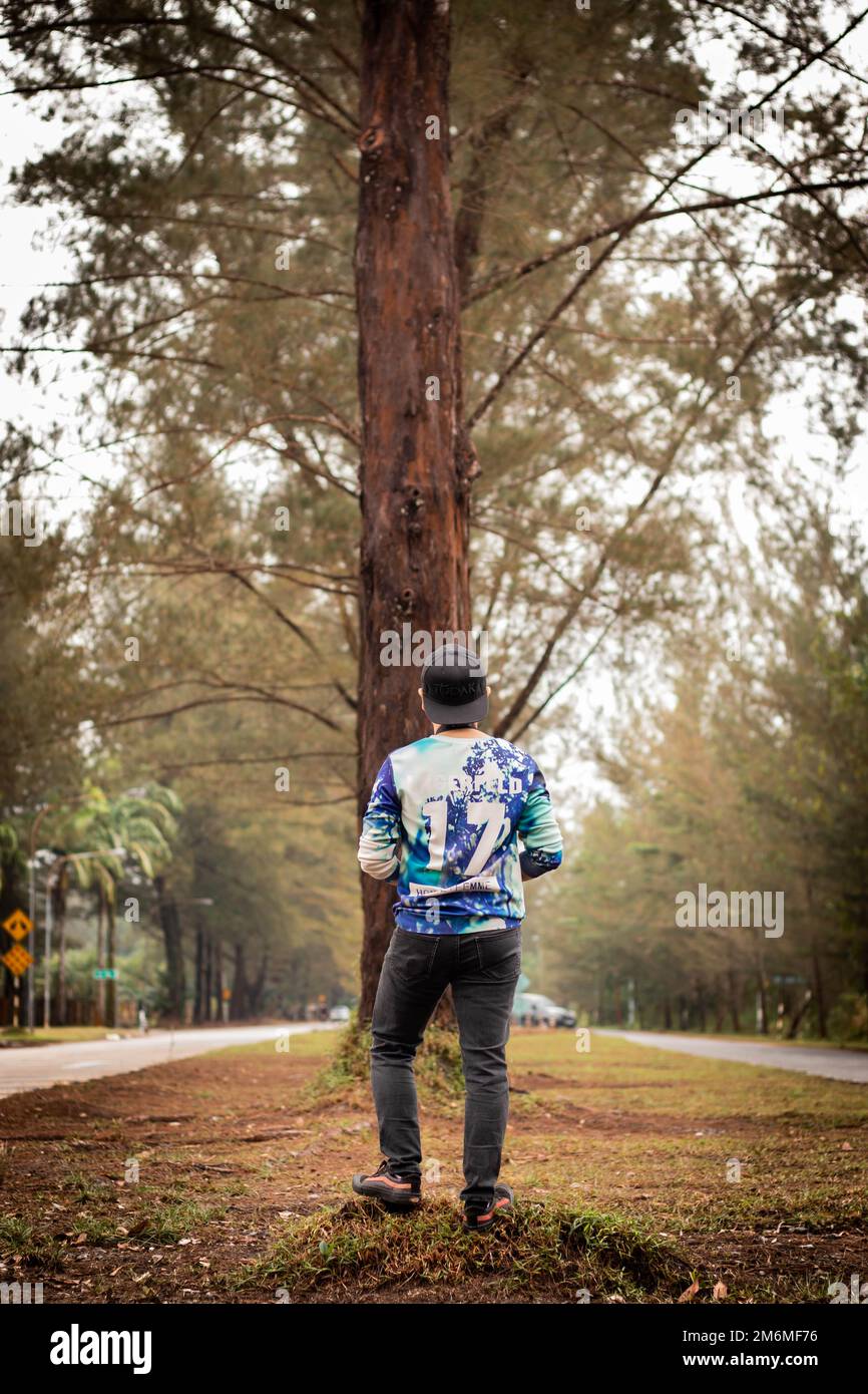 Tall standing trees hi-res stock photography and images - Alamy