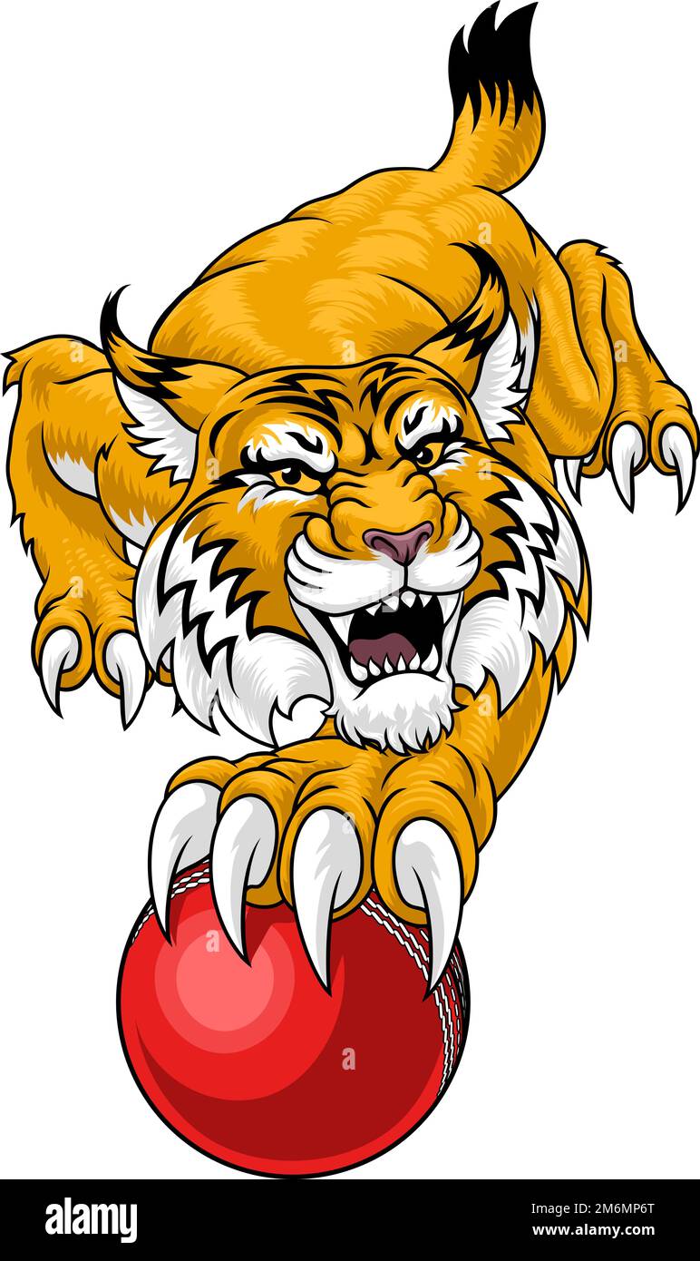 Wildcat Bobcat Cricket Ball Animal Team Mascot Stock Vector