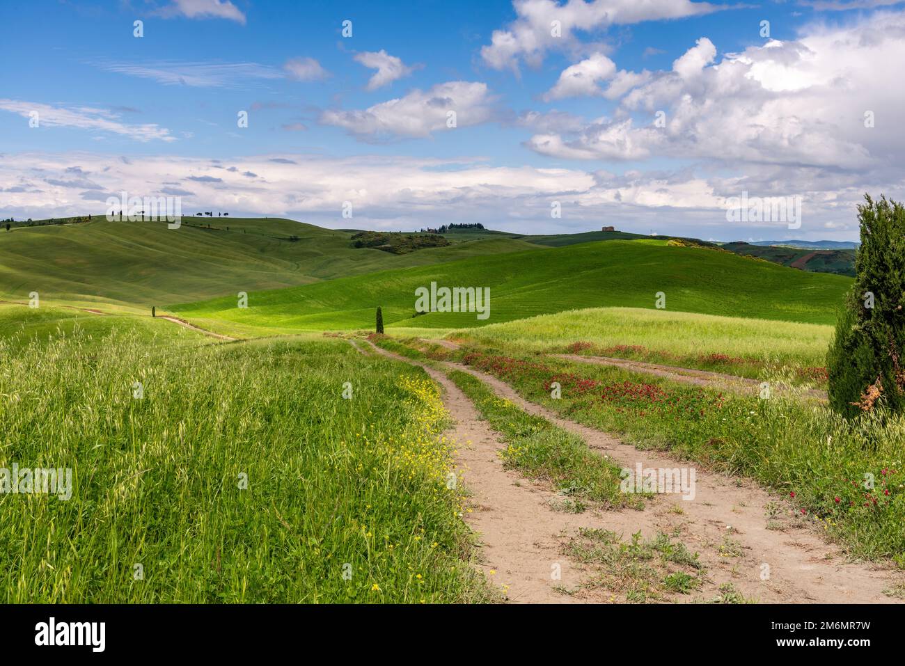 Tuscan valley view hi-res stock photography and images - Alamy