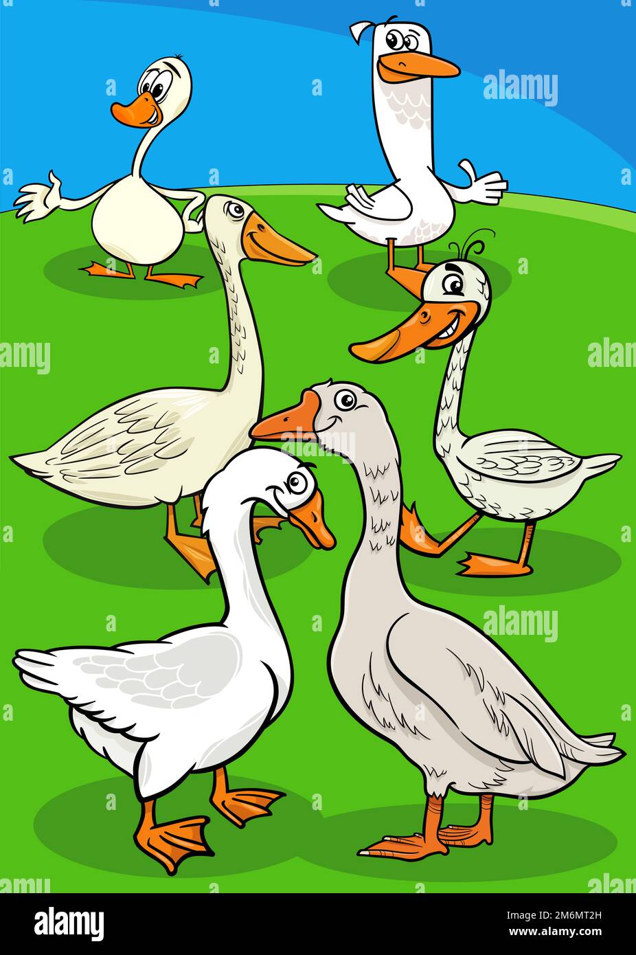 Cartoon geese farm birds animal characters group Stock Photo