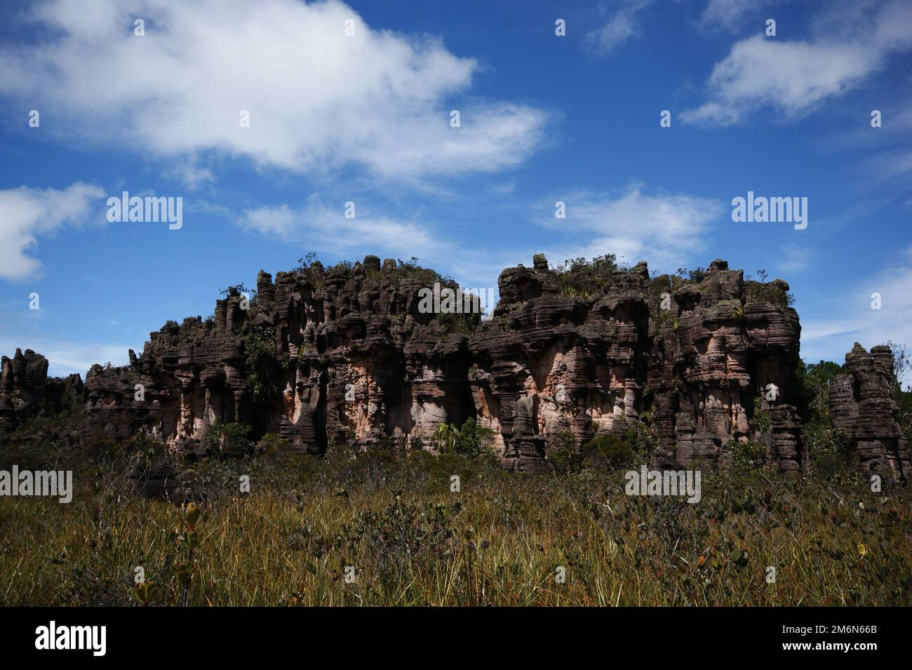Sandstone rock formations on Amuri Tepui, Venezuela Stock Photo