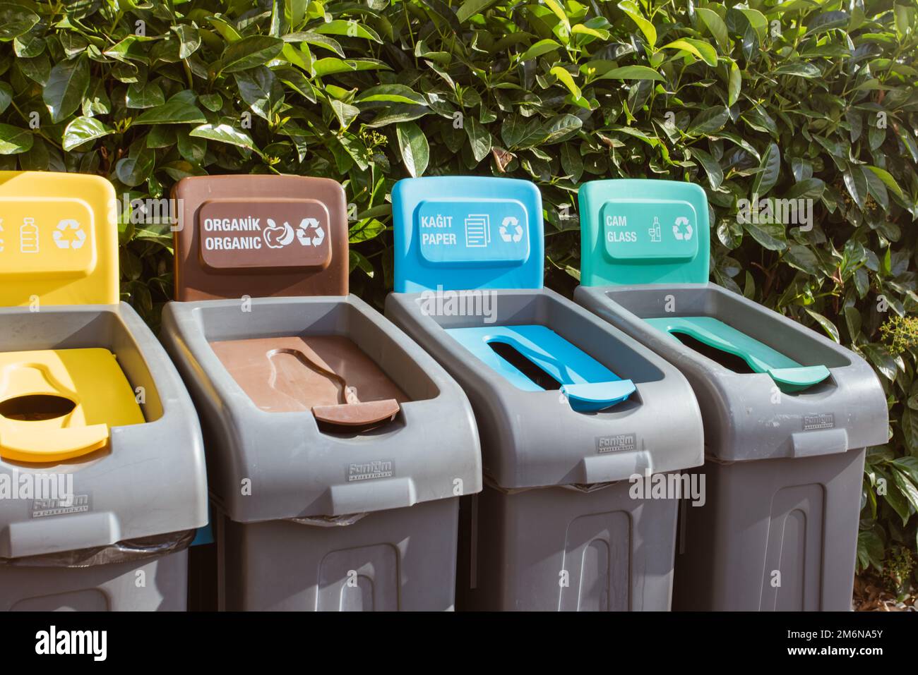 Colored Rubbish Containers for Separate Sorting of Garbage. Bins for Recycling Different Types of Waste Plastic, Glass, Paper, T Stock Photo