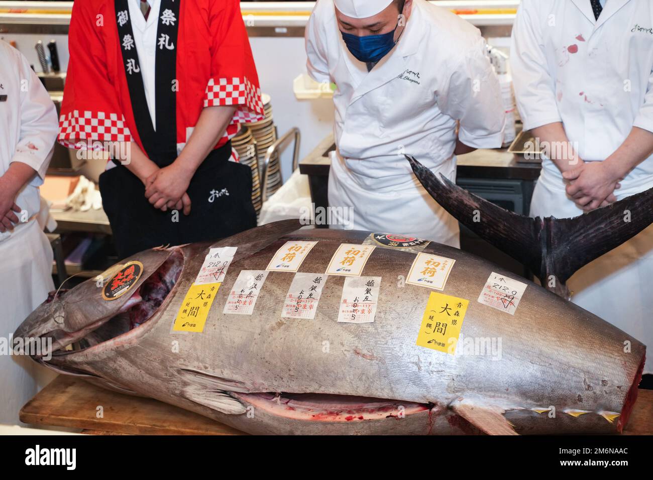 Tokyo, Japan. 5th Jan, 2023. A chef looks at a bluefin tuna in a shop in Tokyo, Japan, Jan. 5, 2023. A 212-kilogram bluefin tuna caught off the northern Japan town of Oma, Aomori Prefecture, fetched 36.04 million yen (about 271,500 U.S. dollars) in the first auction of 2023 at Toyosu market early on Thursday. Credit: Zhang Xiaoyu/Xinhua/Alamy Live News Stock Photo