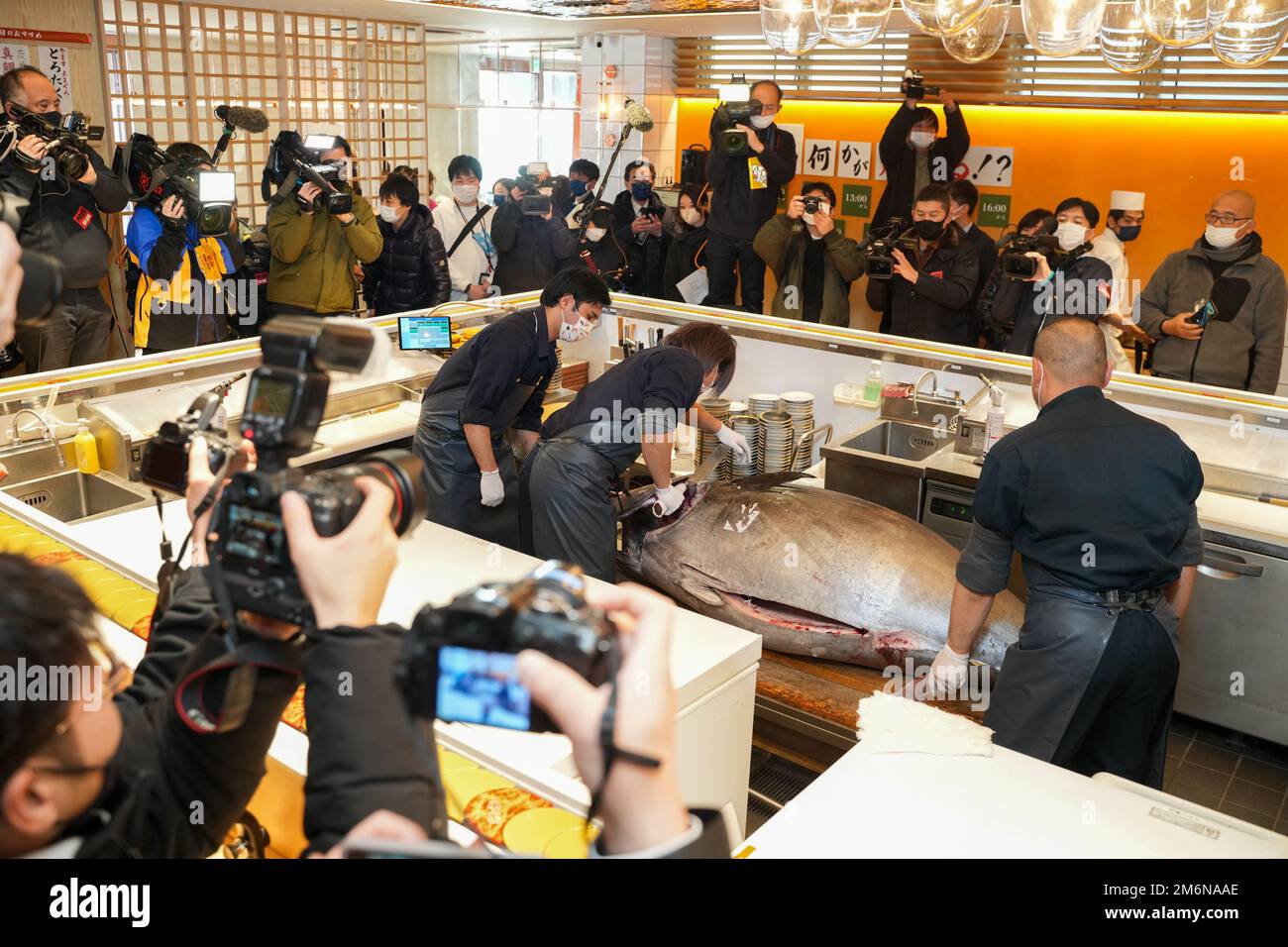 Tokyo, Japan. 5th Jan, 2023. Chefs carve up a bluefin tuna in a shop in Tokyo, Japan, Jan. 5, 2023. A 212-kilogram bluefin tuna caught off the northern Japan town of Oma, Aomori Prefecture, fetched 36.04 million yen (about 271,500 U.S. dollars) in the first auction of 2023 at Toyosu market early on Thursday. Credit: Zhang Xiaoyu/Xinhua/Alamy Live News Stock Photo