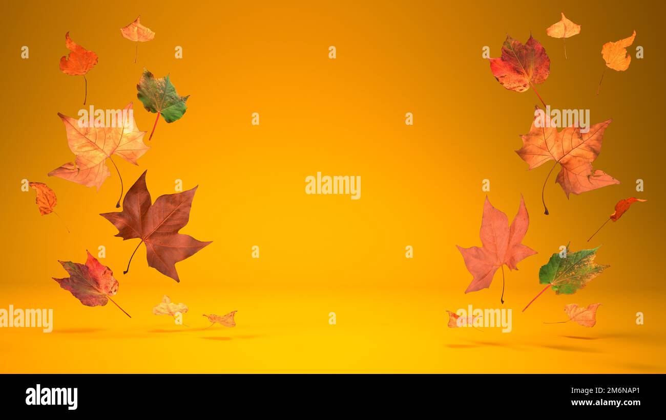 3d illustration autumn forest hi-res stock photography and images - Alamy
