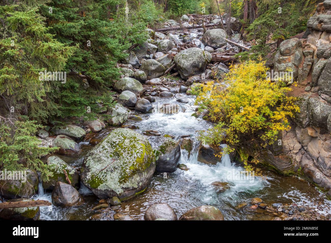 Small rapids in Yellowstone National Park Stock Photo