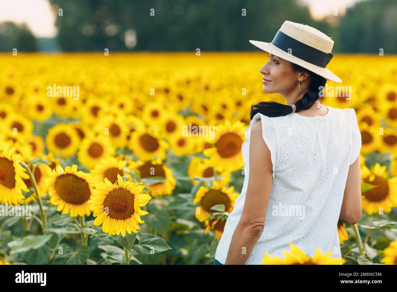 Beautiful young woman in a hat on a field of sunflowers Stock Photo - Alamy