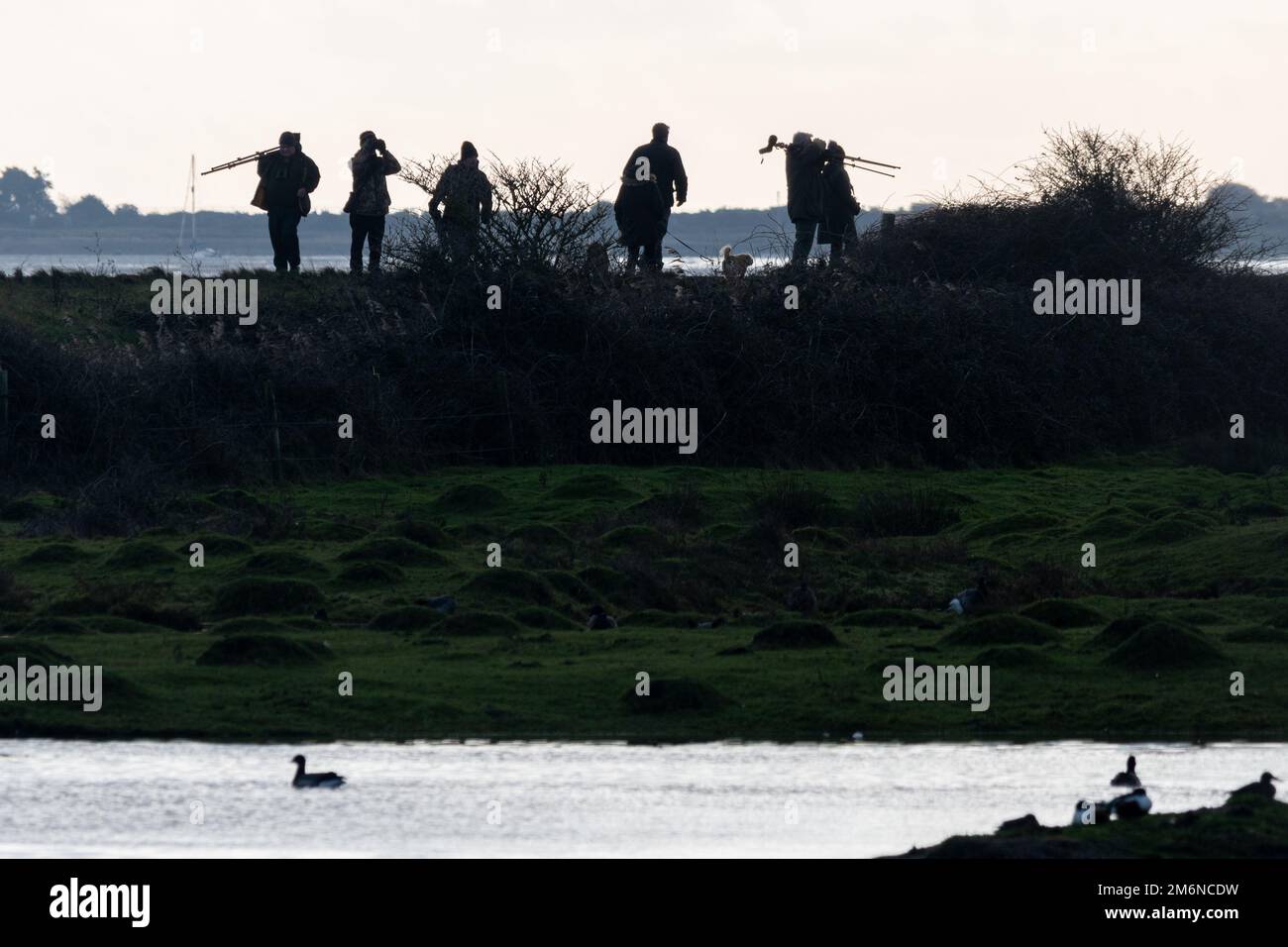 Group of birdwatchers silhouetted against the sky at Farlington Marshes Nature Reserve, Hampshire, England, UK. Healthy outdoor activity or hobby. Stock Photo