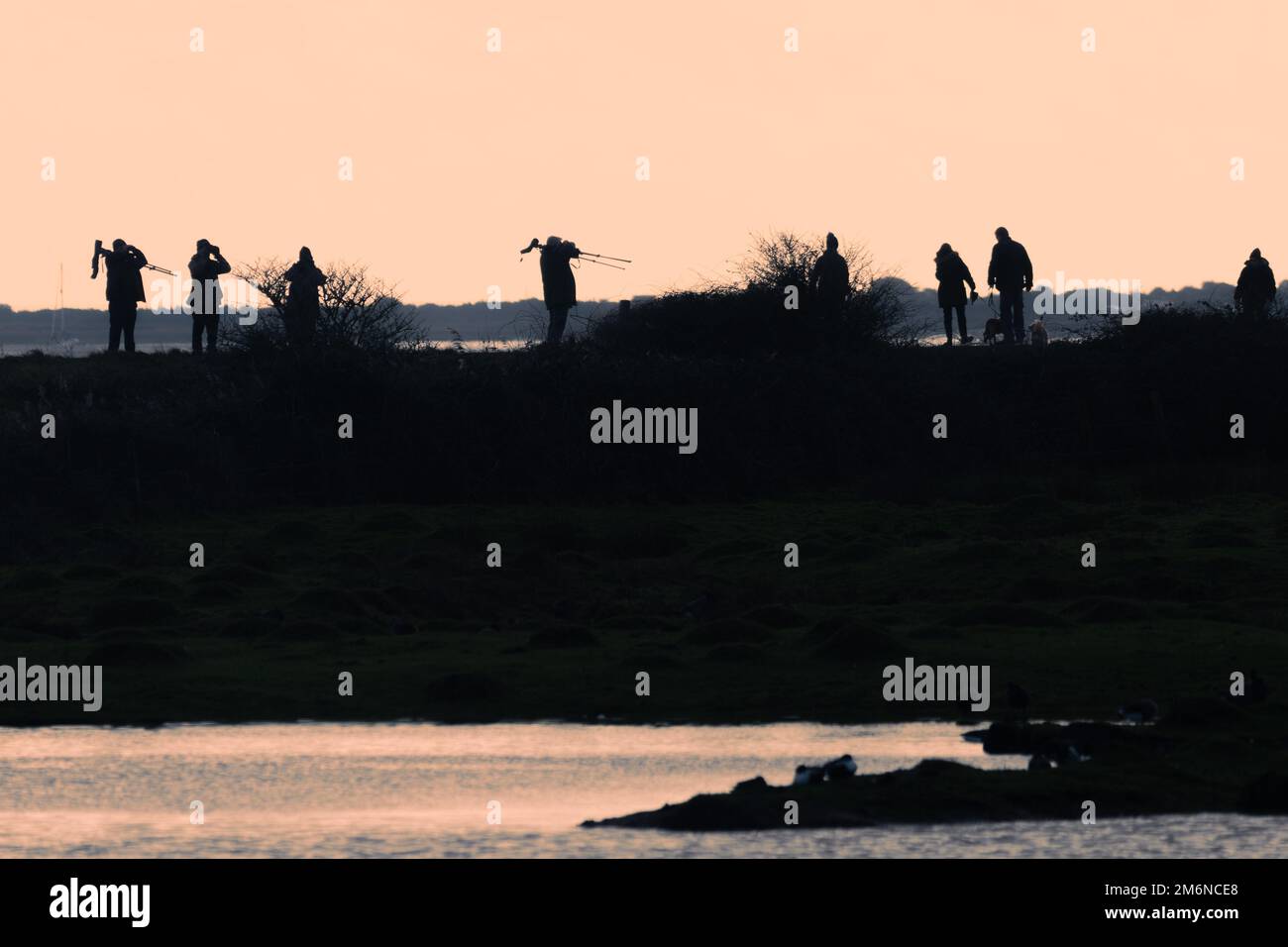 Group of birdwatchers silhouetted against the sky at Farlington Marshes Nature Reserve, Hampshire, England, UK. Healthy outdoor activity or hobby. Stock Photo